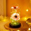 Led Glass Rose Tulip Ornament