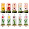Led Glass Rose Tulip Ornament