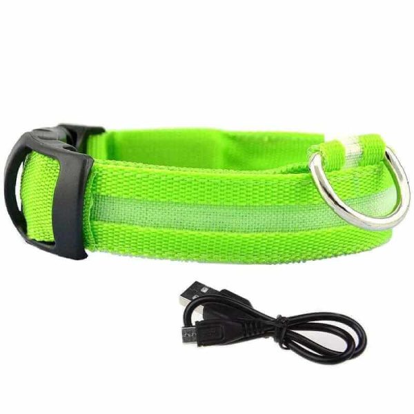 LED Glowing Dog Collars LED Glowing Dog Collars