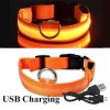 LED Glowing Dog Collars LED Glowing Dog Collars