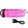LED Glowing Dog Collars LED Glowing Dog Collars