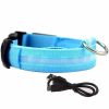LED Glowing Dog Collars LED Glowing Dog Collars