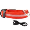 LED Glowing Dog Collars LED Glowing Dog Collars