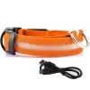 LED Glowing Dog Collars LED Glowing Dog Collars