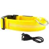 LED Glowing Dog Collars LED Glowing Dog Collars