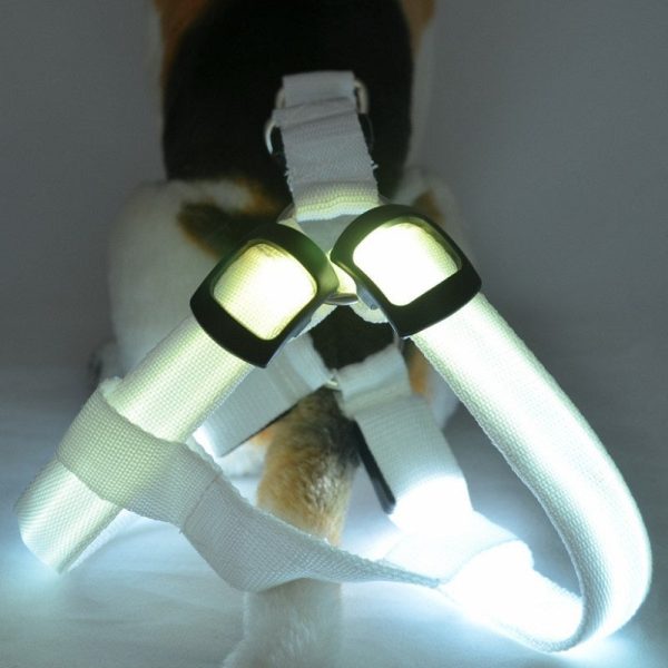 Led Glowing Dog Harness Led Glowing Dog Harness