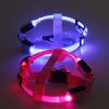 Led Glowing Dog Harness Led Glowing Dog Harness