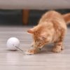 LED Laser Rolling Ball Interactive Electronic Cat Toy LED Laser Rolling Ball Interactive Electronic Cat Toy