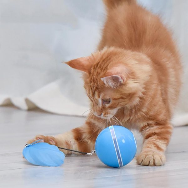 LED Laser Rolling Ball Interactive Electronic Cat Toy LED Laser Rolling Ball Interactive Electronic Cat Toy