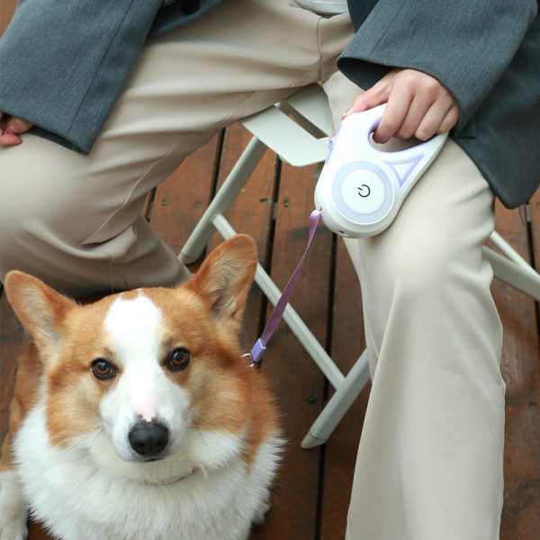 Led Lights Dog Leash Led Lights Dog Leash