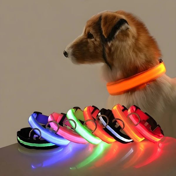 LED Nylon Dog Collar Night Safety Flashing Glow Luminous LED Nylon Dog Collar Night Safety Flashing Glow Luminous