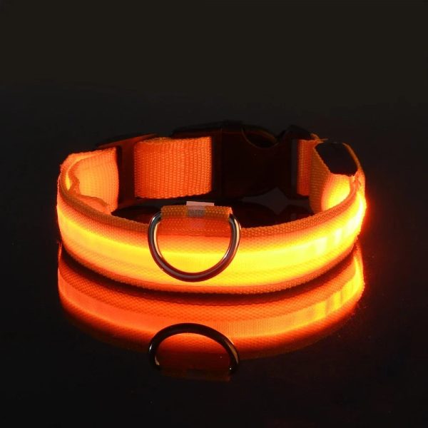 LED Nylon Dog Collar Night Safety Flashing Glow Luminous LED Nylon Dog Collar Night Safety Flashing Glow Luminous