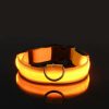 LED Nylon Dog Collar Night Safety Flashing Glow Luminous LED Nylon Dog Collar Night Safety Flashing Glow Luminous