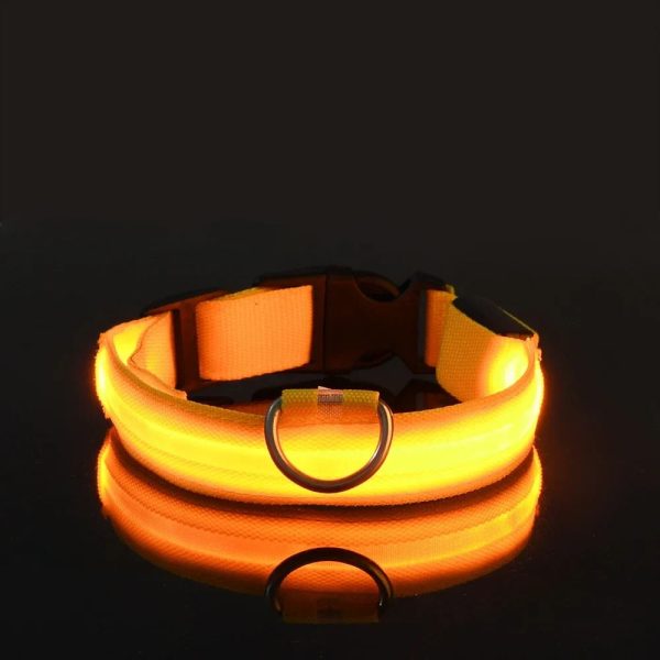 LED Nylon Dog Collar Night Safety Flashing Glow Luminous LED Nylon Dog Collar Night Safety Flashing Glow Luminous