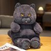 Lifelike Black Cat Plush Toy - Perfect Gift for Kids & Cat Lovers! Lifelike Black Cat Plush Toy - Perfect Gift for Kids & Cat Lovers!