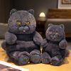 Lifelike Black Cat Plush Toy - Perfect Gift for Kids & Cat Lovers! Lifelike Black Cat Plush Toy - Perfect Gift for Kids & Cat Lovers!