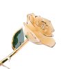 Long Stem 24K Gold Dipped Rose Handmade Forever Gift Long Stem 24K Gold Dipped Rose Handmade Forever Gift