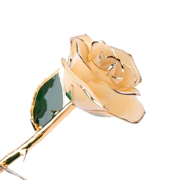 Long Stem 24K Gold Dipped Rose Handmade Forever Gift Long Stem 24K Gold Dipped Rose Handmade Forever Gift