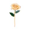 Long Stem 24K Gold Dipped Rose Handmade Forever Gift Long Stem 24K Gold Dipped Rose Handmade Forever Gift