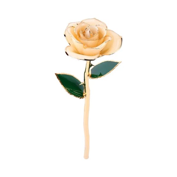 Long Stem 24K Gold Dipped Rose Handmade Forever Gift Long Stem 24K Gold Dipped Rose Handmade Forever Gift