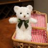Lovely 25cm Teddy Bear Plushie - Perfect Gift for Girls & Home Decor