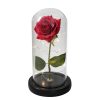 Luxebloom: Galaxy Rose Beauty Luxebloom: Galaxy Rose Beauty