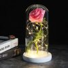 Luxebloom: Galaxy Rose Beauty Luxebloom: Galaxy Rose Beauty
