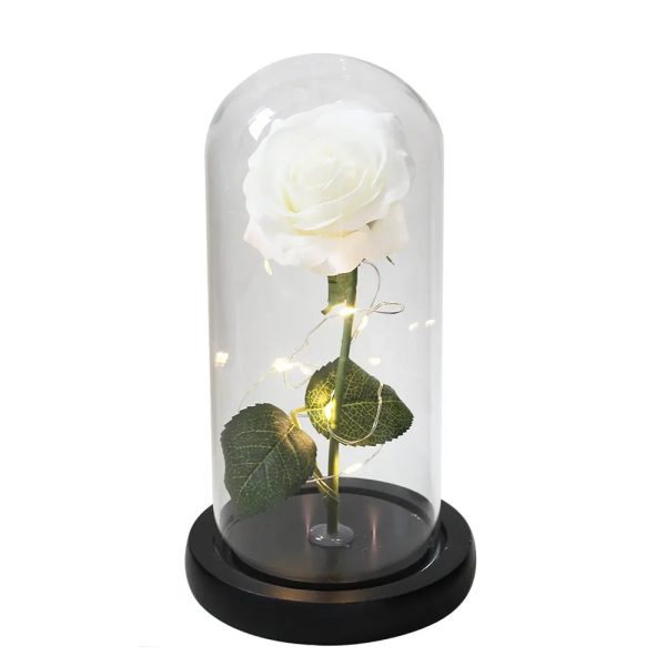 Luxebloom: Galaxy Rose Beauty Luxebloom: Galaxy Rose Beauty