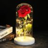 Luxebloom: Galaxy Rose Beauty Luxebloom: Galaxy Rose Beauty