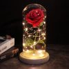 Luxebloom: Galaxy Rose Beauty Luxebloom: Galaxy Rose Beauty