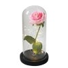 Luxebloom: Galaxy Rose Beauty Luxebloom: Galaxy Rose Beauty