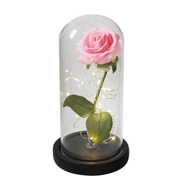 Luxebloom: Galaxy Rose Beauty Luxebloom: Galaxy Rose Beauty
