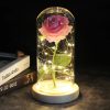 Luxebloom: Galaxy Rose Beauty Luxebloom: Galaxy Rose Beauty