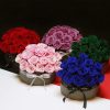 Luxury Preserved Eternal Rose Gift Box Luxury Preserved Eternal Rose Gift Box