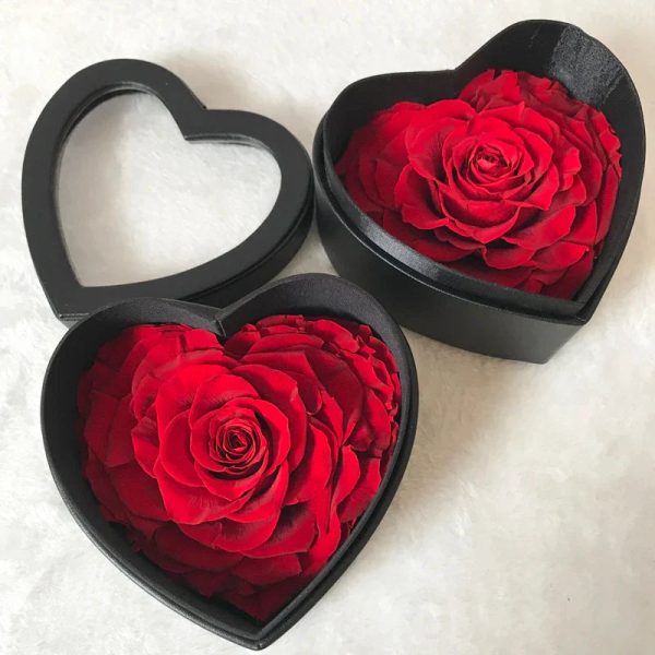 Luxury Preserved Eternal Rose Gift Box Luxury Preserved Eternal Rose Gift Box