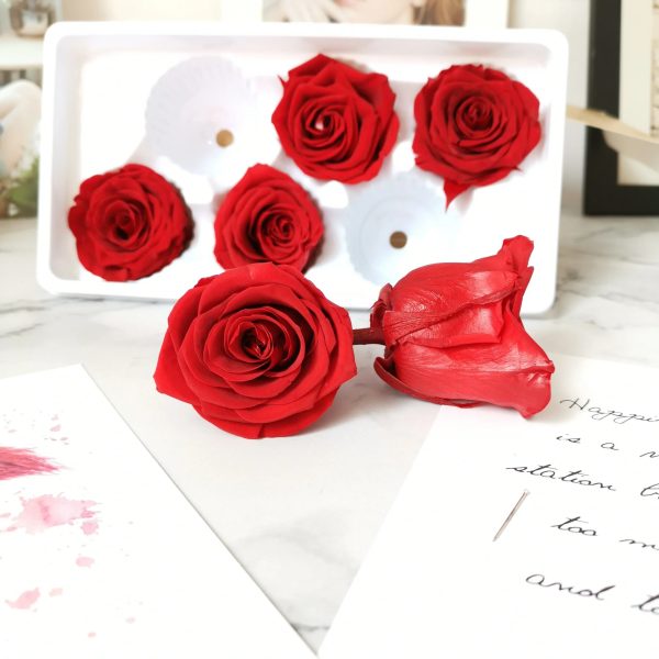 Luxury Preserved Eternal Rose Gift Box Luxury Preserved Eternal Rose Gift Box