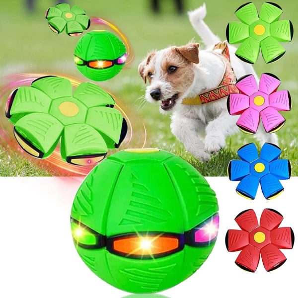 Magic Flying Ball for Dogs Magic Flying Ball for Dogs