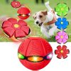 Magic Flying Ball for Dogs Magic Flying Ball for Dogs