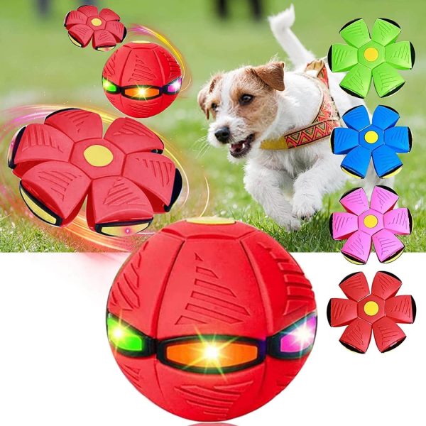Magic Flying Ball for Dogs Magic Flying Ball for Dogs