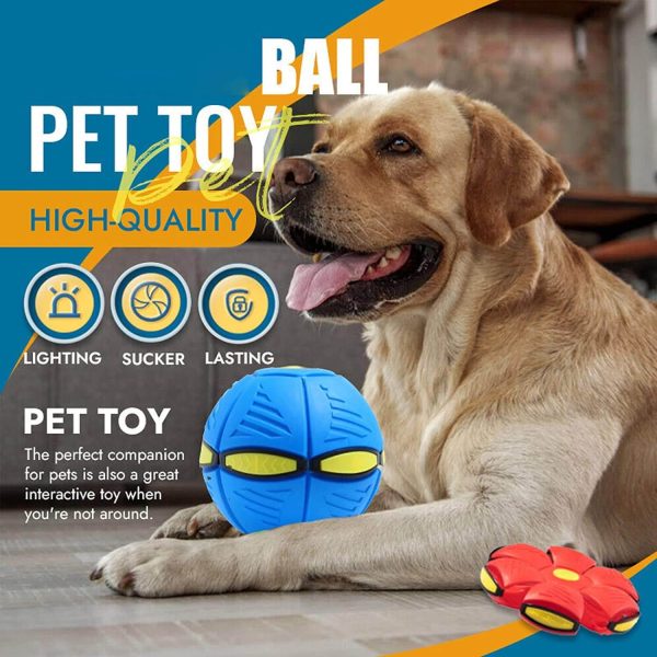 Magic Flying Ball for Dogs Magic Flying Ball for Dogs