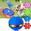 Magic Flying Ball for Dogs Magic Flying Ball for Dogs