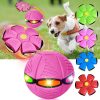 Magic Flying Ball for Dogs Magic Flying Ball for Dogs