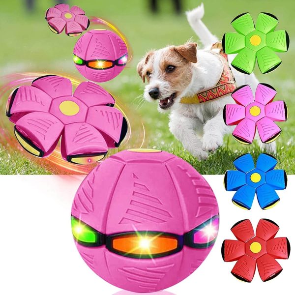 Magic Flying Ball for Dogs Magic Flying Ball for Dogs