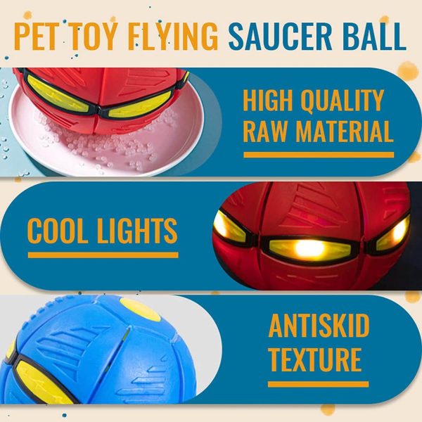 Magic Flying Ball for Dogs Magic Flying Ball for Dogs