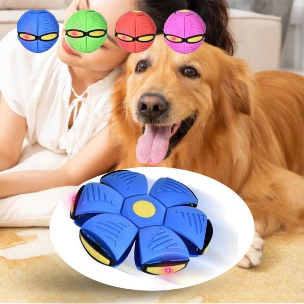 Magic Flying Saucer Dog Ball Magic Flying Saucer Dog Ball
