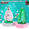 Magic Growing Christmas Tree Magic Growing Christmas Tree
