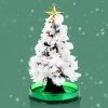 Magic Growing Christmas Tree Magic Growing Christmas Tree