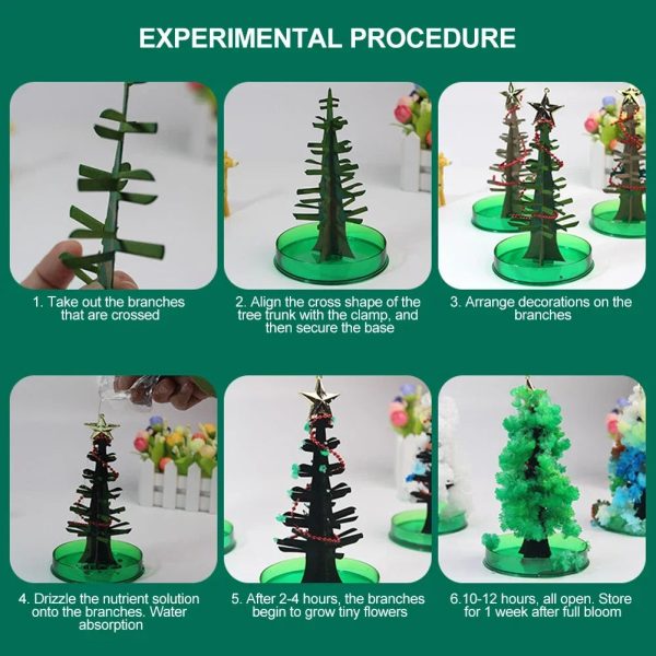 Magic Growing Christmas Tree Magic Growing Christmas Tree