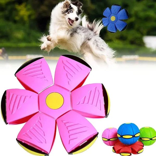 Magic Saucer Fetch Interactive Dog Toy Magic Saucer Fetch Interactive Dog Toy