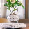 Magnetic Levitation Floating Pot Magnetic Levitation Floating Pot